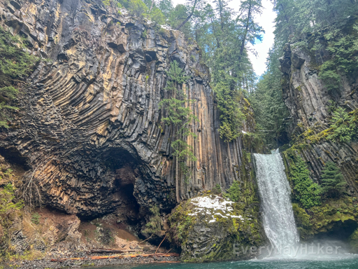 A view of Toketee Falls that focuses more heavily on the dynamic pattern of the basalt columns along the cliff face.